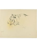 Profile of a Tiger by Wilhelm Lorenz - Modern Artwork