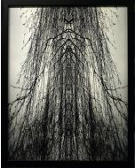 Cathedral by Claudio Palmieri - Contemporary Artwork