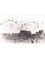 Birds by Pino Settanni - Contemporary Artworks