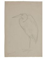Bird - SOLD