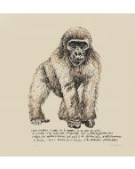Monkey is an original lithograph on cardboard, realized by Sergio Barletta in 1960.
