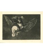 Disparate Volante - from Los Proverbios 