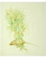 Flowers's Composition is an original painting in watercolor on paper by Leo Guida in 1971.