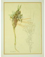 Composition is an original painting in watercolor on paper by Leo Guida in 1972.