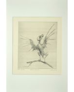 Bird on the Branch is an original colored etching artwork on paper realized by Leo Guida in 1972.