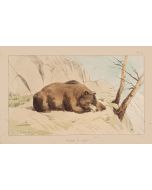The Bear by E.Laporte - Contemporary Artwork