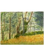 Landscape - SOLD