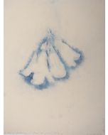 Paulownia Flower by Andrea Fogli -  Contemporary Artworks 