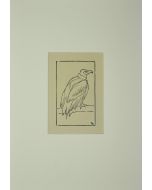 Bird by n.a.