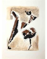 Horse and Rider