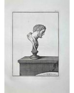 Profile of Ancient Roman Bust