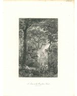 A Scene in the Brazilian Forest
