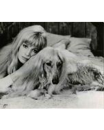 Vintage Portrait of Monica Vitti - Original Photographs