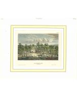 Ancient View of Sacramento - SOLD