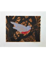 Giselle Halff - The Bird - Modern Art