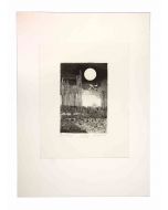 Night Landscape