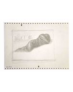 The Silkworm  Figure