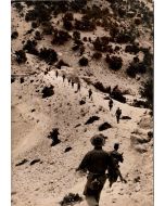Military in Algeria, Historical Photograph - SOLD