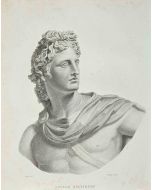 Portrait of Apollo Belvidere - SOLD