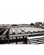 The Solar Panels