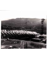 The Solar Panels