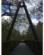 Vanishing Point