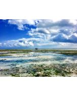 Cindi Emond - Climate Change - Author's Photographs