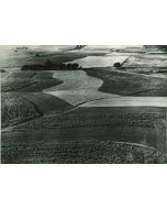 Leadership in Agricultural Production - American Vintage Photograph