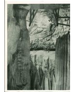 Wonderland of Caves - American Vintage Photograph