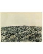 Man-made Miracle- American Vintage Photograph 