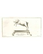 Ancient Roman Pig - Vincenzo Campana - Old Master's Artwork