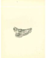 Emmanuel Gondouin - Deer - Modern Art
