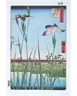 After Utagawa Hiroshige - Iris Garden - Modern Artwork
