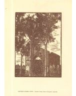 Rafaele Angelo Oppio - Vecchio Campo Santo (Old Cemetery) - Modern Artwork