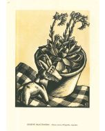 Giuseppe Haas-Triverio - Still Life - Modern Artwork