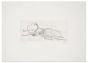 Scarabeo Messicano by Sergio Barletta - Contemporary artwork