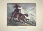 Chevaux en Liberté