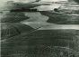 Leadership in Agricultural Production - American Vintage Photograph