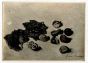 Photograph of a Painting by Beppe Guzzi