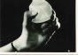Versatile Plastic - American Vintage Photograph 