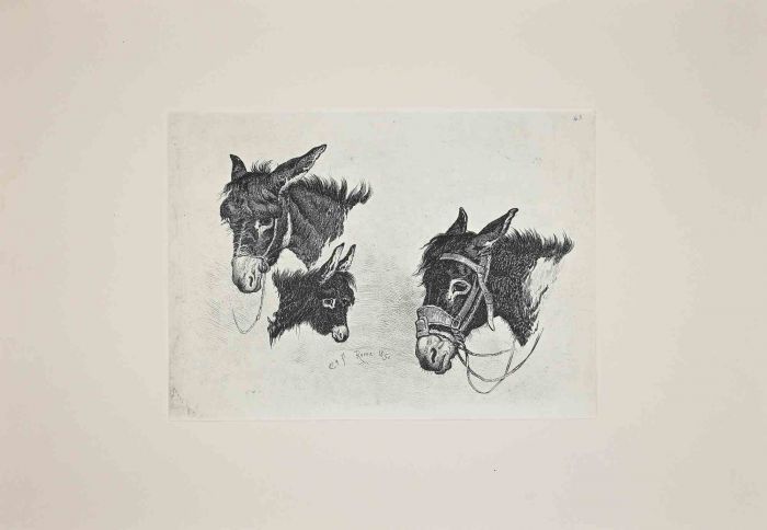 The Donkey  in the Roman Countryside
