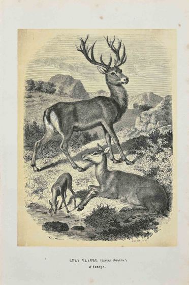 Paul Gervais - Red Deer - Modern Art