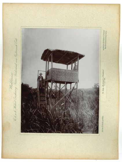 Java - Hochstand in Ploembon by prince Franz Ferdinand von Osterreich Este - Artwork