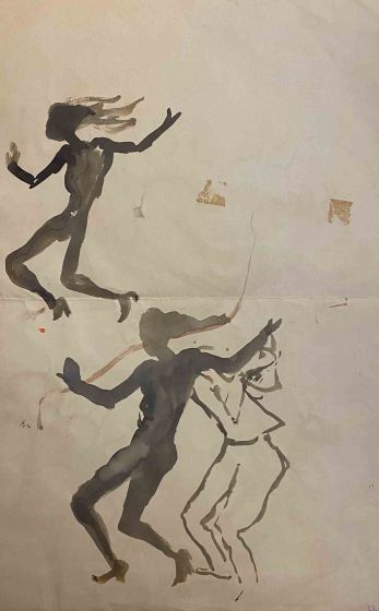 Cover for "Il Selvaggio"