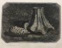 Natura Morta con Pigna e Frammento di Vaso by Giorgio Morandi - Modern Artwork