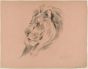 Profile of a Lion by Wilhelm Lorenz - Modern Artwork