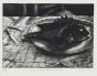 The Scorpionfish Without The Glass by Piero Cesaroni - Contemporary Artwork 