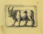 Bull by Antonio Tempesta - Artwork 