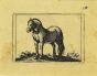 The Horse by Antonio Tempesta - Artwork
