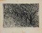 Trees by Anonymous- Modern Artwork